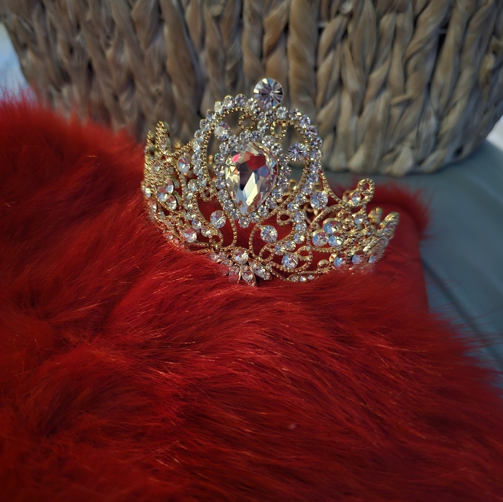 Tiara - Picture 6 of 6